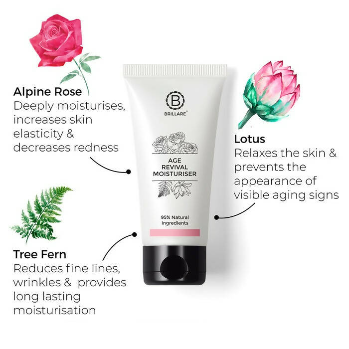 https://cdn.shopify.com/s/files/1/1857/6931/products/Z7ipfYW223.jpg?v=1686227816