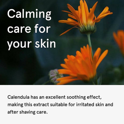 https://cdn.shopify.com/s/files/1/1857/6931/products/Z8UxiJV8lj.jpg?v=1686379462