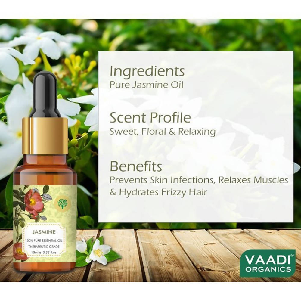 https://cdn.shopify.com/s/files/1/1857/6931/products/Z8mBL0ygap.jpg?v=1617935367