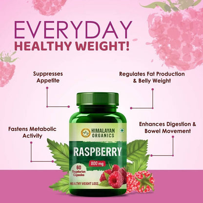 https://cdn.shopify.com/s/files/1/1857/6931/products/ZBayDCkVYz.jpg?v=1626701251
