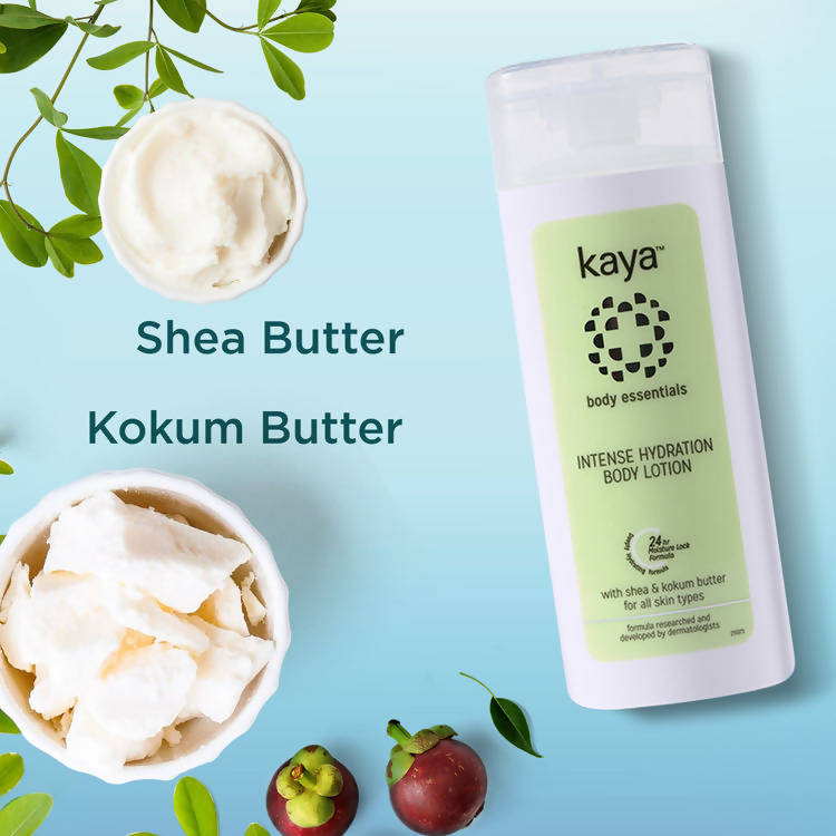 https://cdn.shopify.com/s/files/1/1857/6931/products/ZFbC25Sstb.jpg?v=1641626290