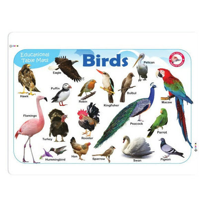 https://cdn.shopify.com/s/files/1/1857/6931/products/ZKdhcVLB89.jpg?v=1759357606