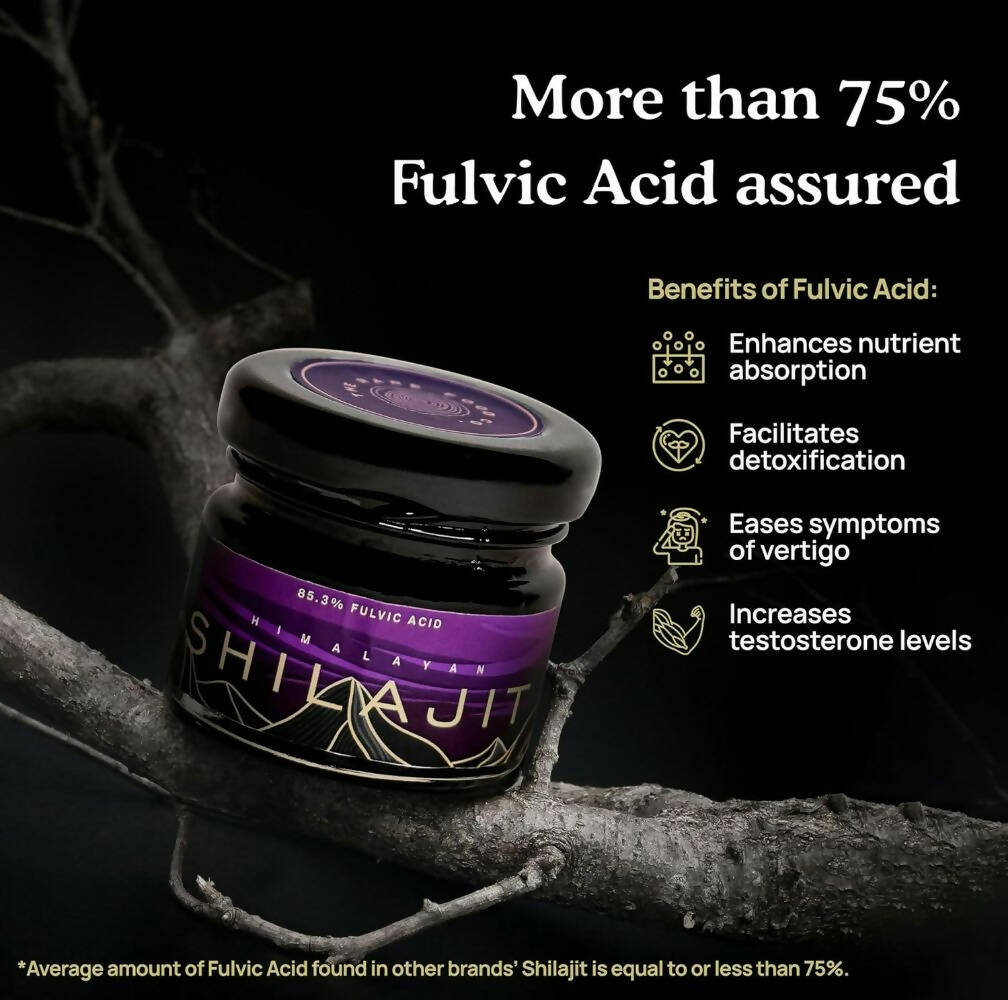 https://cdn.shopify.com/s/files/1/1857/6931/products/ZLeap2PpQ0.jpg?v=1694170474