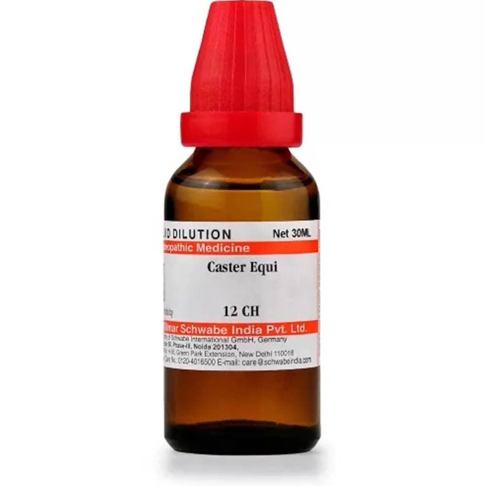 https://cdn.shopify.com/s/files/1/1857/6931/products/ZQmyfhMTuc.jpg?v=1613912202