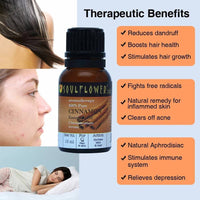 https://cdn.shopify.com/s/files/1/1857/6931/products/ZUIgX00vap.jpg?v=1614911249