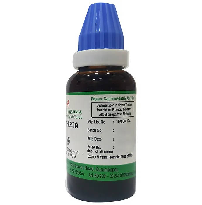 https://cdn.shopify.com/s/files/1/1857/6931/products/ZUpqEfmnkP.jpg?v=1660134452