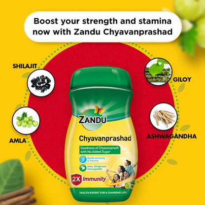 https://cdn.shopify.com/s/files/1/1857/6931/products/Zandu_SugarFree_Chyavanprashad1.png?v=1623658016