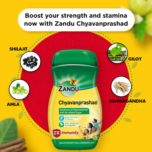 https://cdn.shopify.com/s/files/1/1857/6931/products/Zandu_SugarFree_Chyavanprashad1.png?v=1623658016