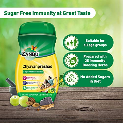 https://cdn.shopify.com/s/files/1/1857/6931/products/Zandu_SugarFree_Chyavanprashad.jpg?v=1623658007