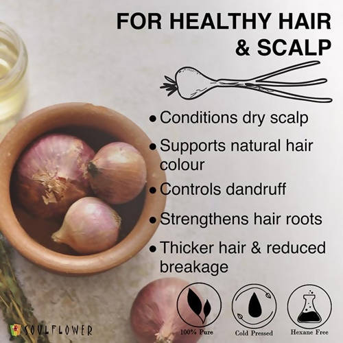 https://cdn.shopify.com/s/files/1/1857/6931/products/ZfFiRYu9tC.jpg?v=1624588113