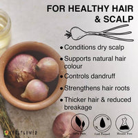https://cdn.shopify.com/s/files/1/1857/6931/products/ZfFiRYu9tC.jpg?v=1624588113