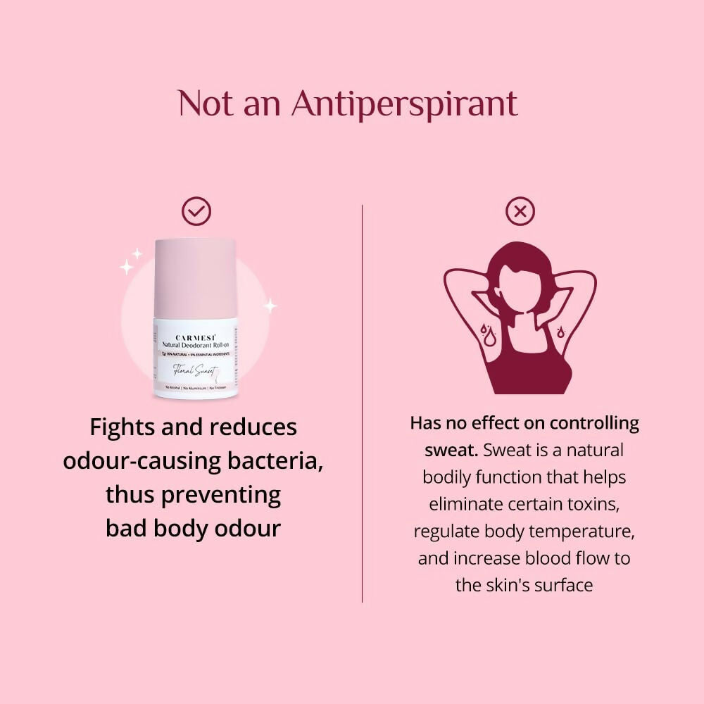 https://cdn.shopify.com/s/files/1/1857/6931/files/ZgxT94zfUc.jpg?v=1728537015