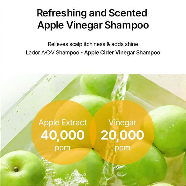 https://cdn.shopify.com/s/files/1/1857/6931/files/ZhZnducMCh.jpg?v=1731568002