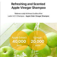 https://cdn.shopify.com/s/files/1/1857/6931/files/ZhZnducMCh.jpg?v=1731568002