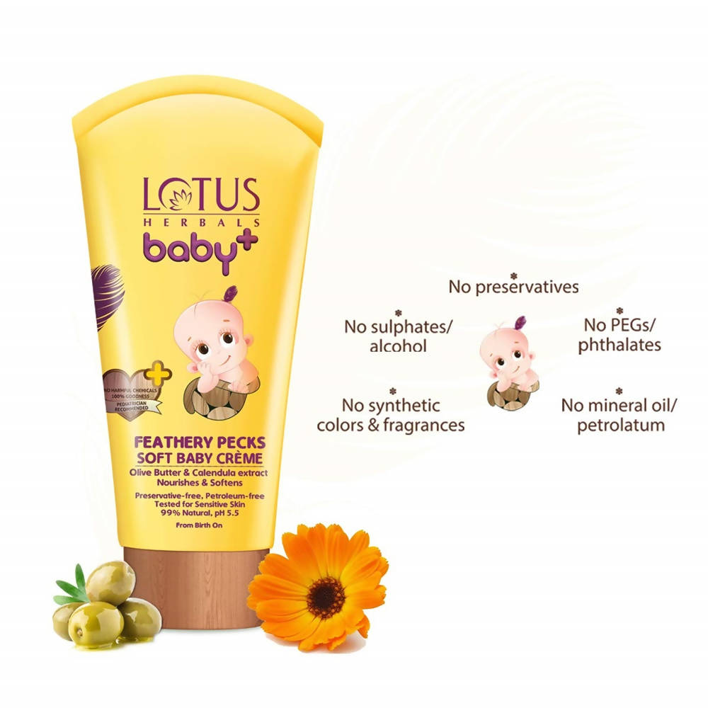 https://cdn.shopify.com/s/files/1/1857/6931/products/Zhr5UGL6v3.jpg?v=1615516048