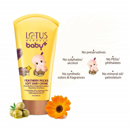 https://cdn.shopify.com/s/files/1/1857/6931/products/Zhr5UGL6v3.jpg?v=1615516048