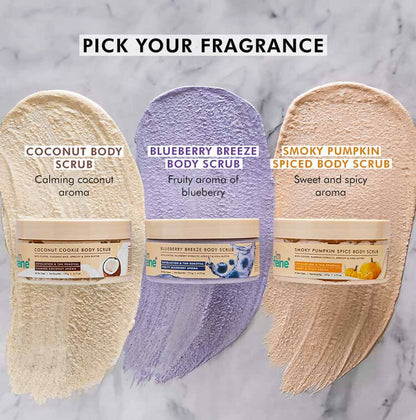 https://cdn.shopify.com/s/files/1/1857/6931/files/Zk9N1cgCss.jpg?v=1718949825