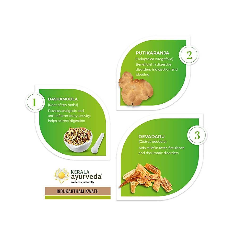 https://cdn.shopify.com/s/files/1/1857/6931/products/ZkoElofTi4.jpg?v=1638191127