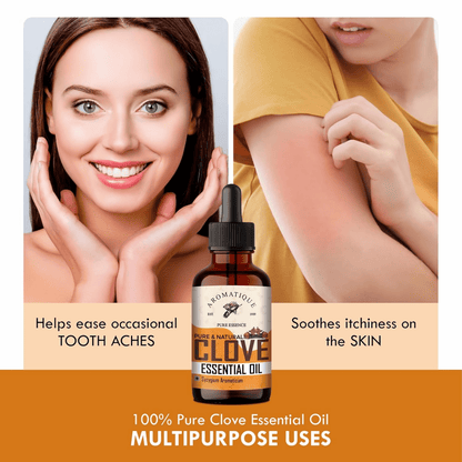 https://cdn.shopify.com/s/files/1/1857/6931/files/ZqDgNVDGFs-522977.png?v=1736149329