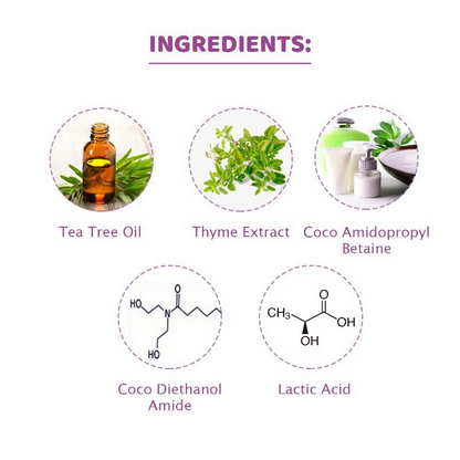 https://cdn.shopify.com/s/files/1/1857/6931/files/ZribqRg8ag.png?v=1728474466