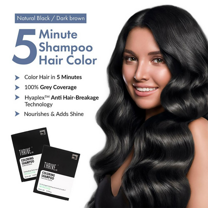 https://cdn.shopify.com/s/files/1/1857/6931/files/Zv0PL6U2P7.png?v=1746878002