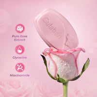 https://cdn.shopify.com/s/files/1/1857/6931/files/ZvJfE0veNB.jpg?v=1728538175