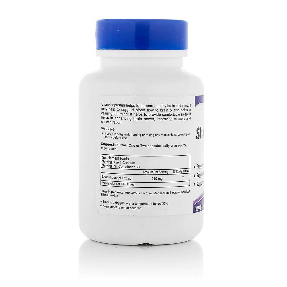 https://cdn.shopify.com/s/files/1/1857/6931/products/ZxFl2ZWufi.jpg?v=1669982390