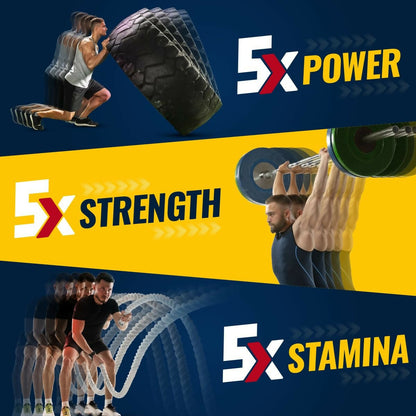 https://cdn.shopify.com/s/files/1/1857/6931/files/Zxjp9tc24V.jpg?v=1768224259