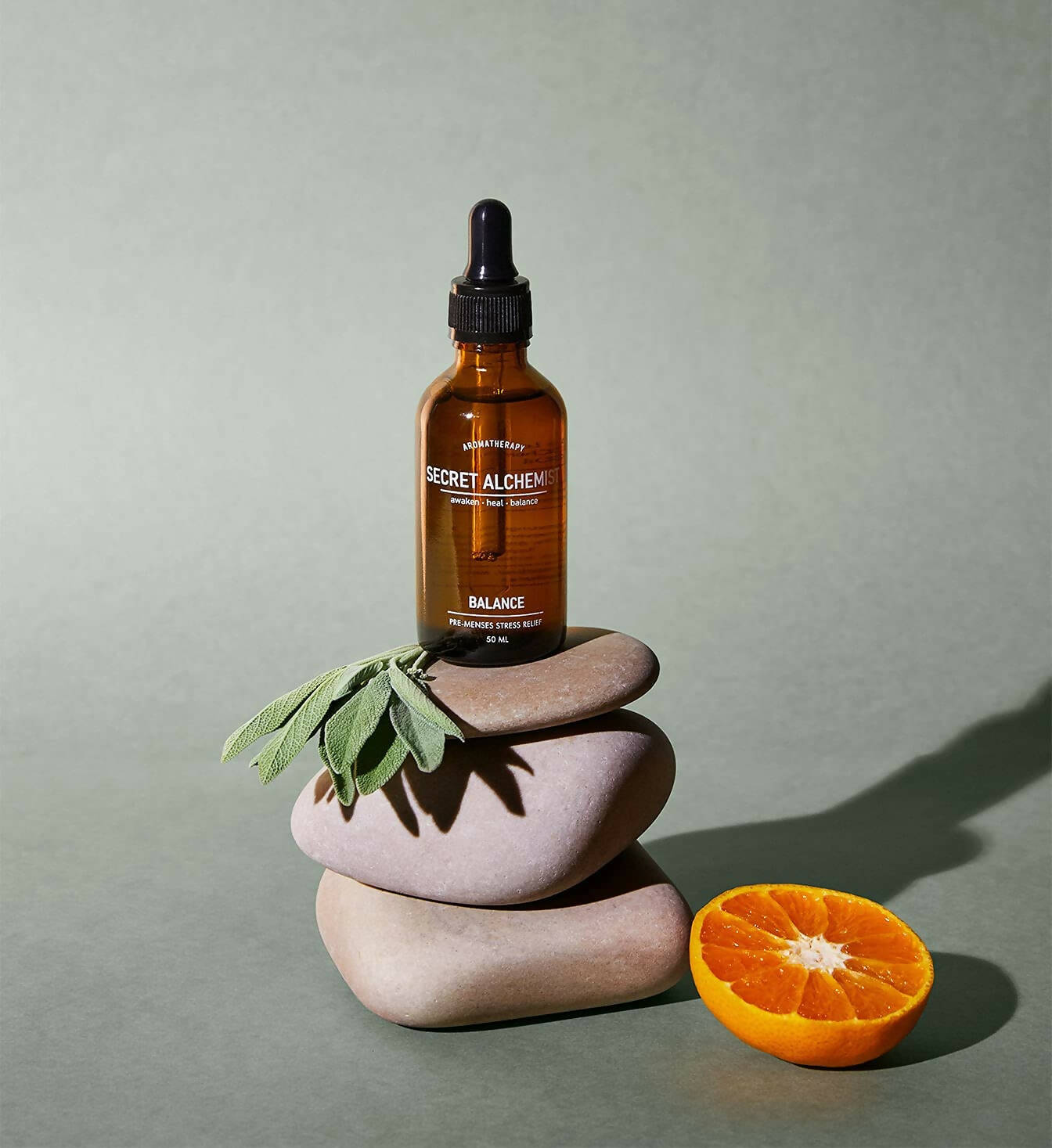 https://cdn.shopify.com/s/files/1/1857/6931/products/ZxsLIvhW3q.jpg?v=1683632580