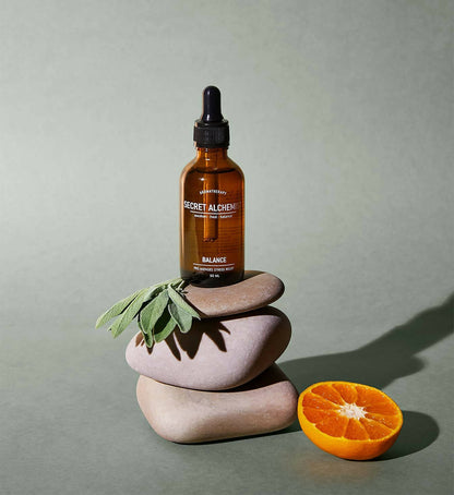 https://cdn.shopify.com/s/files/1/1857/6931/products/ZxsLIvhW3q.jpg?v=1683632580
