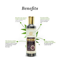 https://cdn.shopify.com/s/files/1/1857/6931/products/ZxuXoLIBsp.jpg?v=1642063698