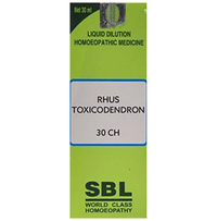 https://cdn.shopify.com/s/files/1/1857/6931/products/a1jarhguujtrsivcxnwo.png?v=1737560044