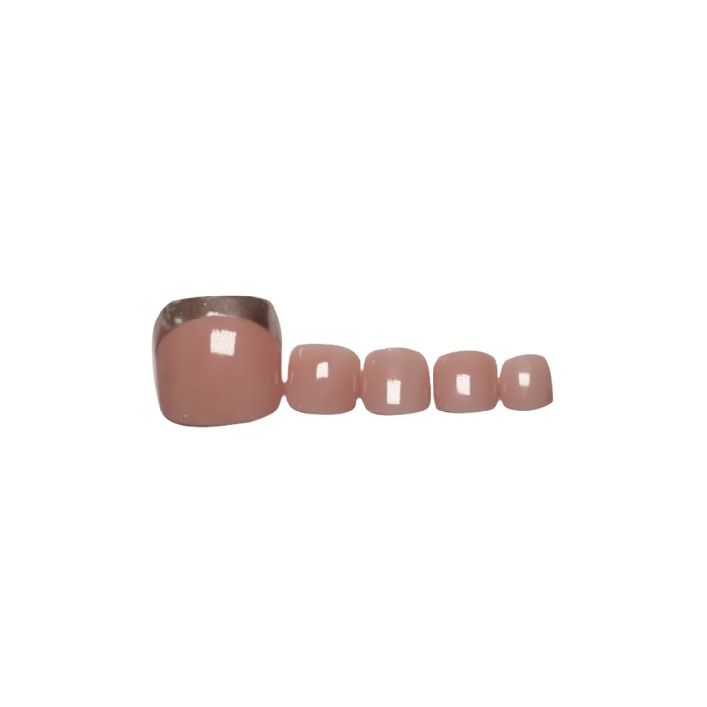 https://cdn.shopify.com/s/files/1/1857/6931/files/a2f497d8904477400801_02.jpg?v=1769754211