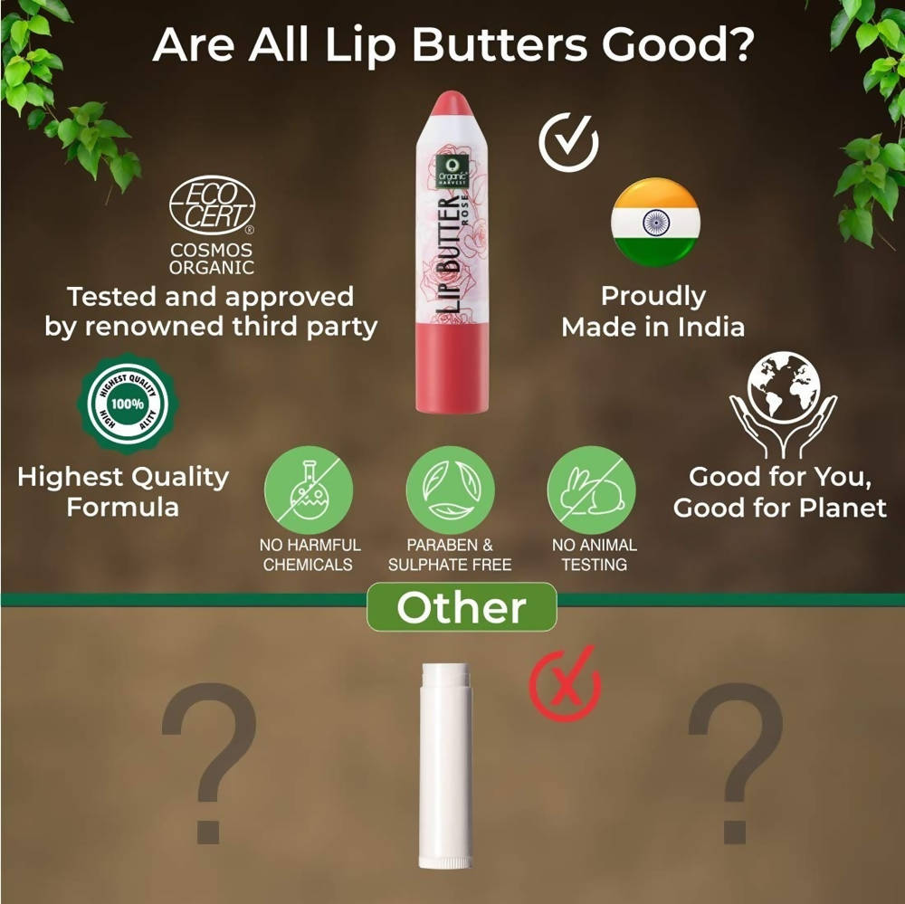 https://cdn.shopify.com/s/files/1/1857/6931/products/a2mauu9YLw.jpg?v=1636178409