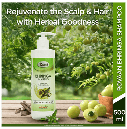 https://cdn.shopify.com/s/files/1/1857/6931/files/a33db45b26b84bcd8241b428b0bb3313.png?v=1763619074