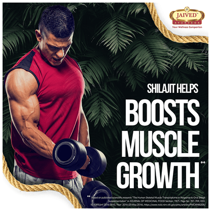 https://cdn.shopify.com/s/files/1/1857/6931/files/a557661b3a8941b49a29cb3bb0eefb45.png?v=1765799722