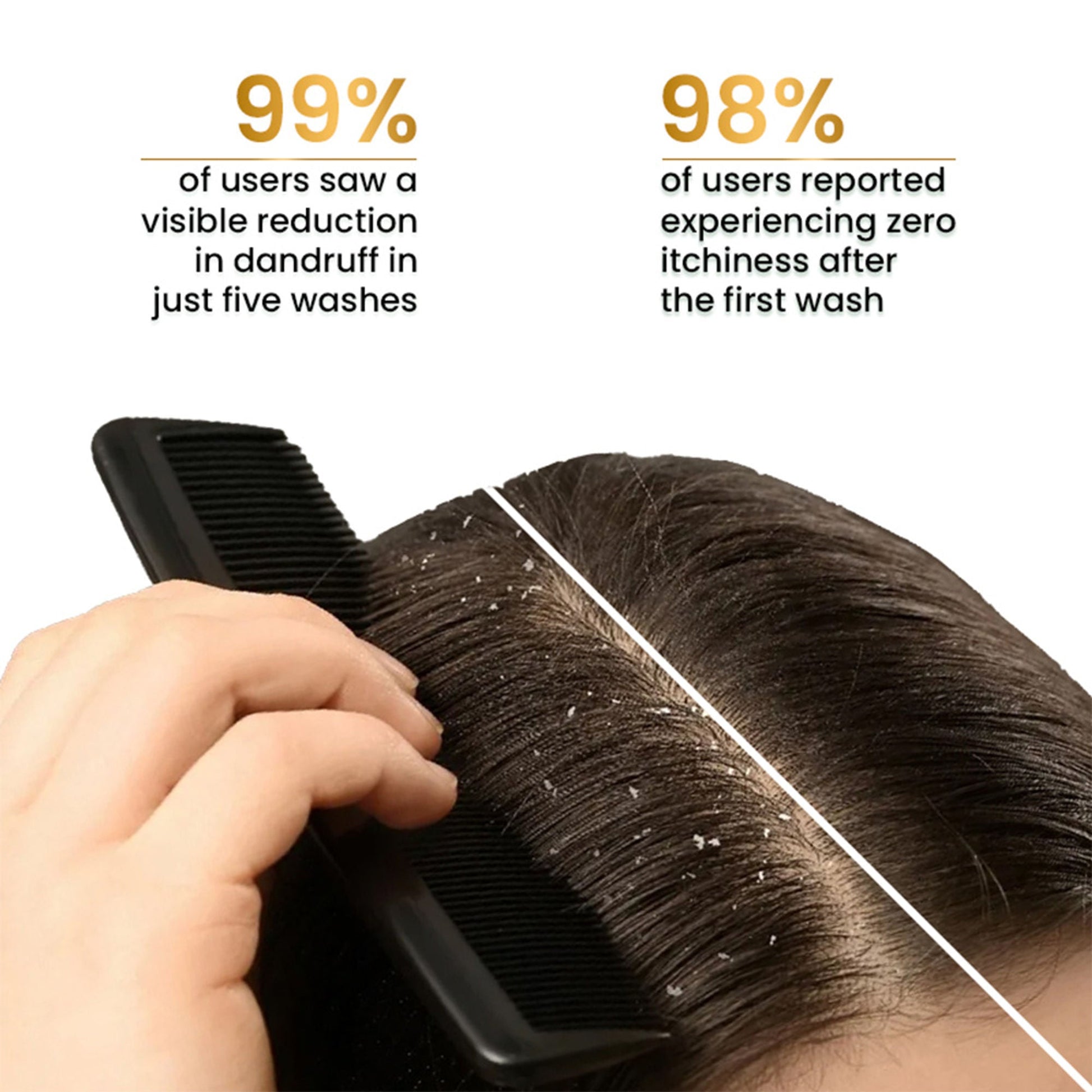 https://cdn.shopify.com/s/files/1/1857/6931/files/a559366THEAH00000125s_5.jpg?v=1776859048