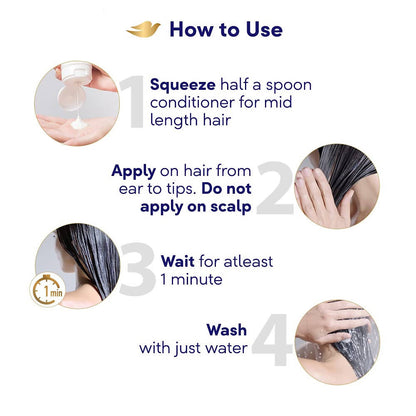 https://cdn.shopify.com/s/files/1/1857/6931/products/a5ZVa2zZF1.jpg?v=1633055744