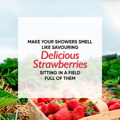 https://cdn.shopify.com/s/files/1/1857/6931/files/a5b2ed68904245715151_2.jpg?v=1768229871