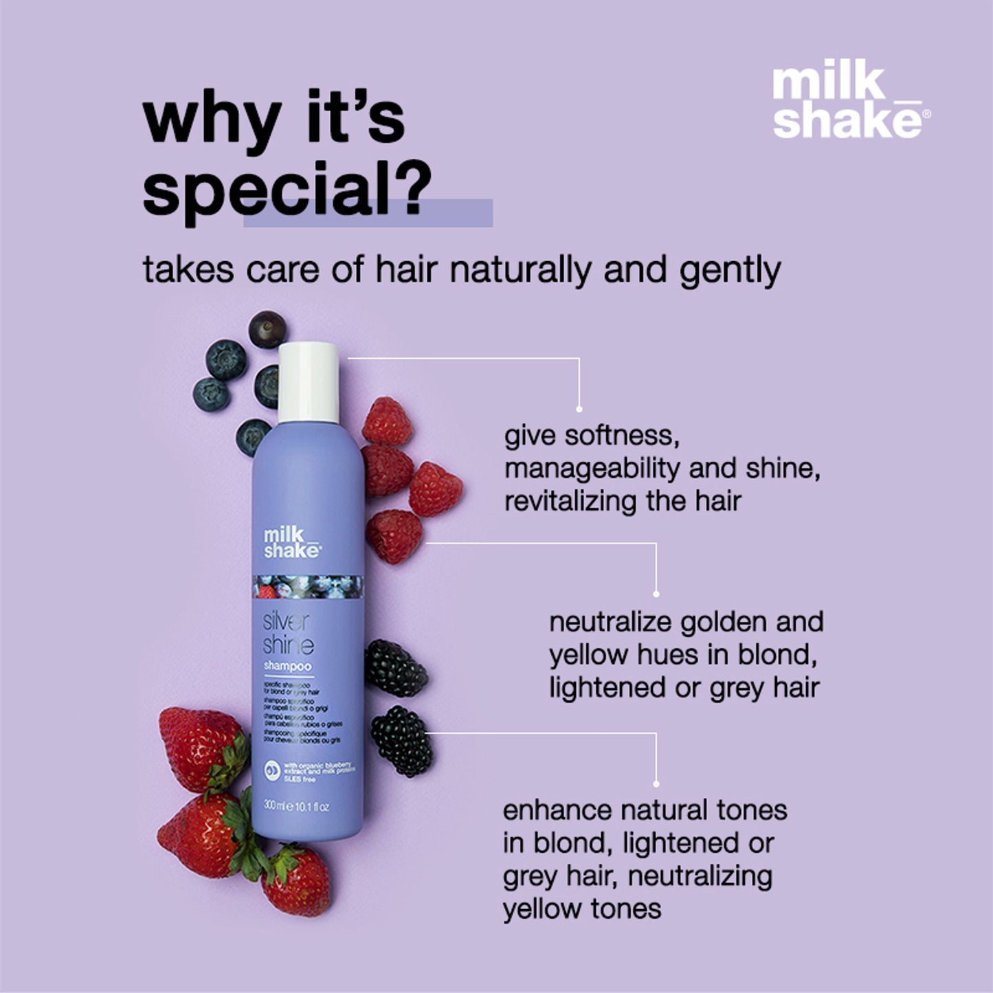 https://cdn.shopify.com/s/files/1/1857/6931/files/a725a81MILKS00000067ab_ab3.jpg?v=1770190326