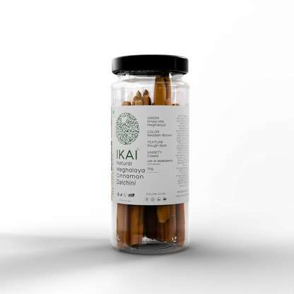 https://cdn.shopify.com/s/files/1/1857/6931/files/aA6TYND24r.png?v=1752667911