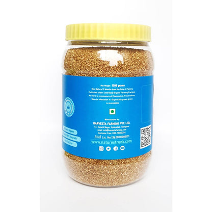 https://cdn.shopify.com/s/files/1/1857/6931/products/aETZCkookK.jpg?v=1630031510