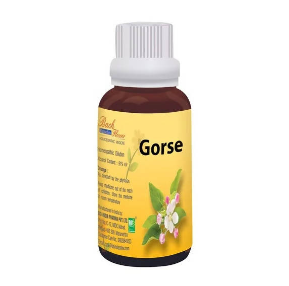 https://cdn.shopify.com/s/files/1/1857/6931/products/aGyZ8i1gNS.jpg?v=1759310551