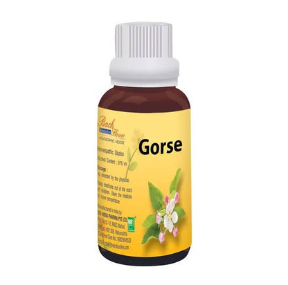 https://cdn.shopify.com/s/files/1/1857/6931/products/aGyZ8i1gNS.jpg?v=1759310551