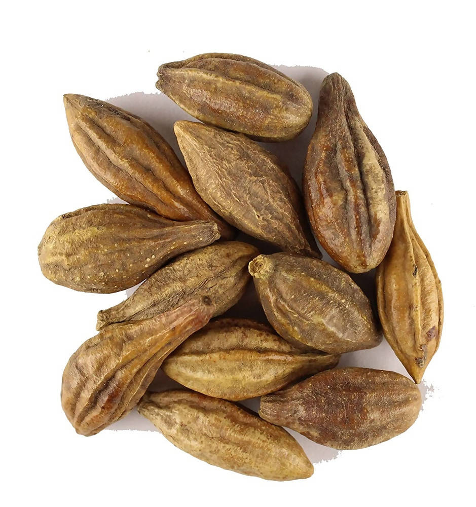 https://cdn.shopify.com/s/files/1/1857/6931/products/aHtjlgajau.jpg?v=1623983693