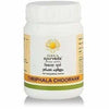 https://cdn.shopify.com/s/files/1/1857/6931/products/aKPmNUJwtB.jpg?v=1619963906
