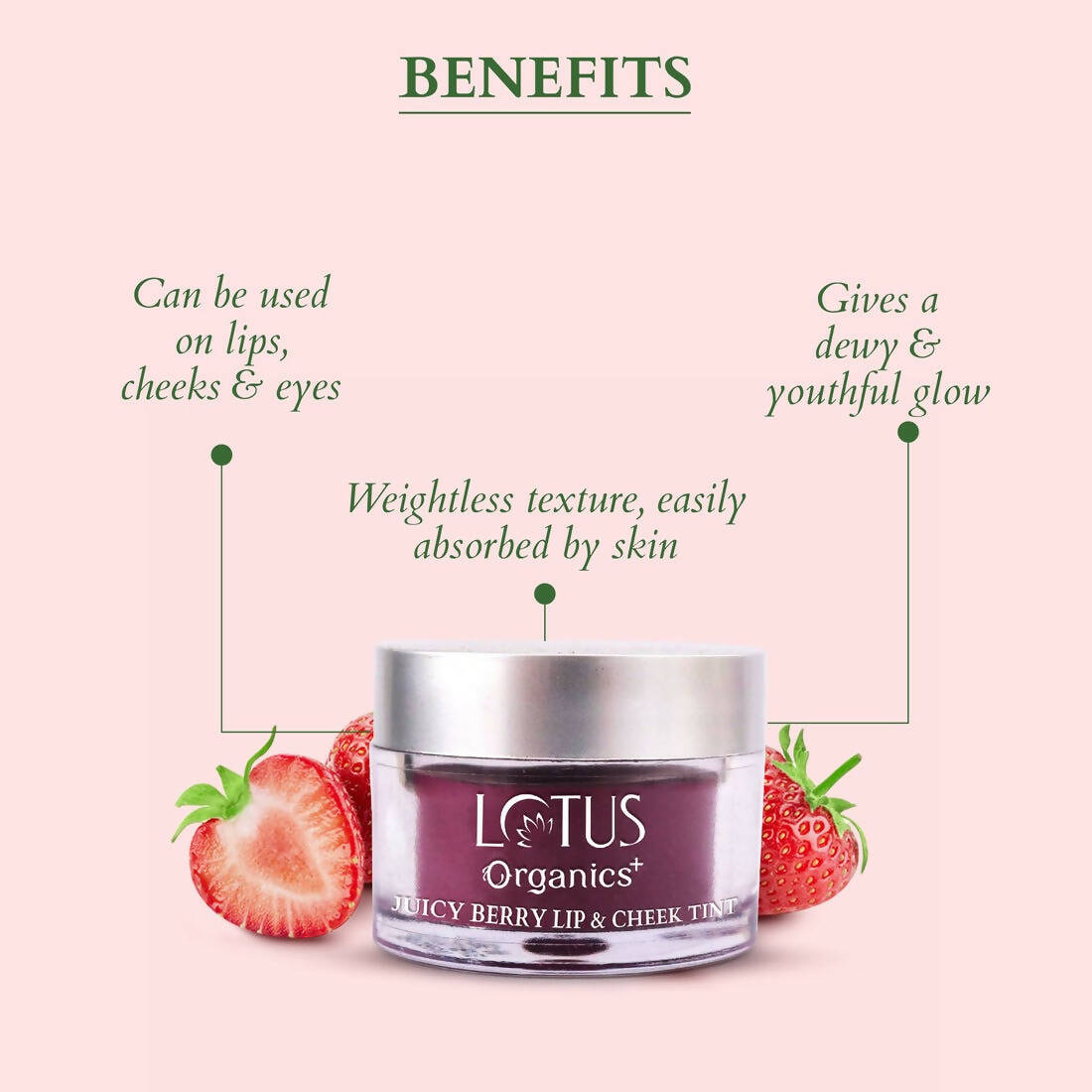 https://cdn.shopify.com/s/files/1/1857/6931/products/aN7YnjCJGx.jpg?v=1697176223
