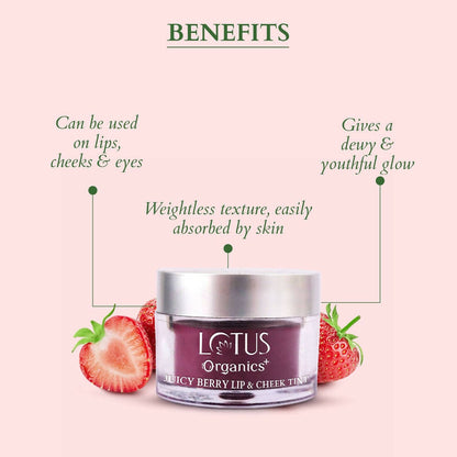 https://cdn.shopify.com/s/files/1/1857/6931/products/aN7YnjCJGx.jpg?v=1697176223