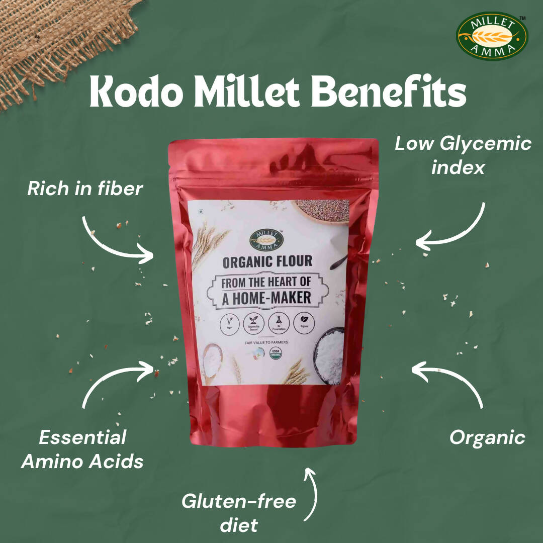 https://cdn.shopify.com/s/files/1/1857/6931/products/aOz3PYjVNG.jpg?v=1674884133