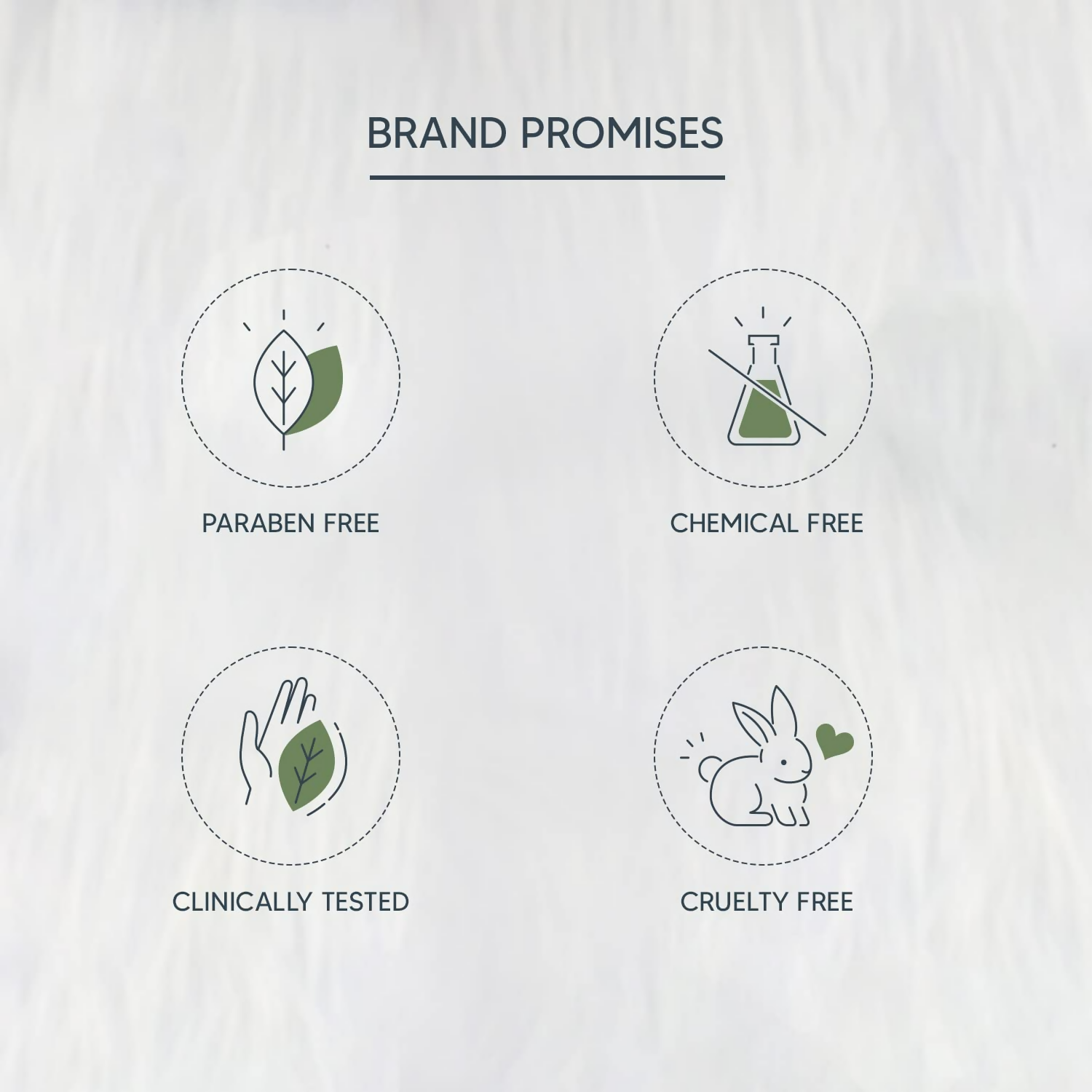 https://cdn.shopify.com/s/files/1/1857/6931/files/aQSPmnbN6K.png?v=1720524249